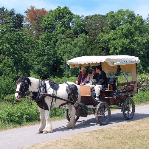 Killarney rahvuspark